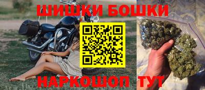дмт Будённовск